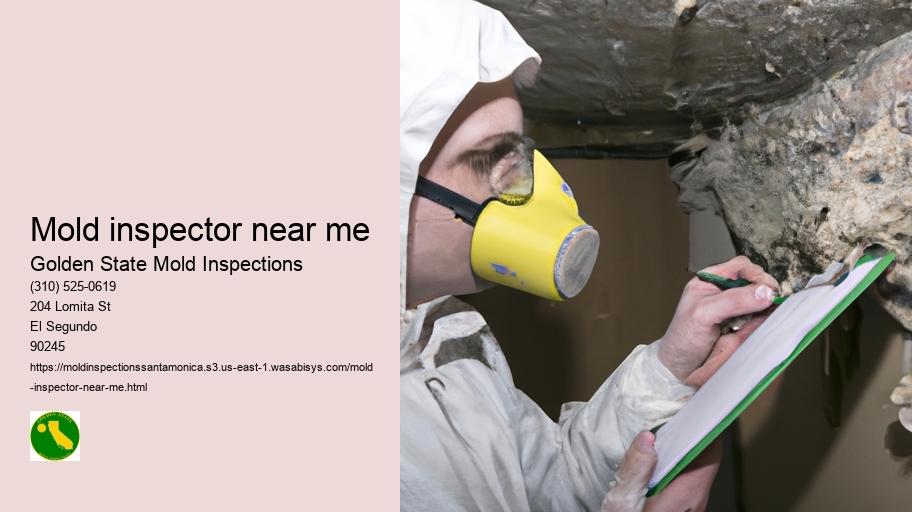 Mold inspector near me