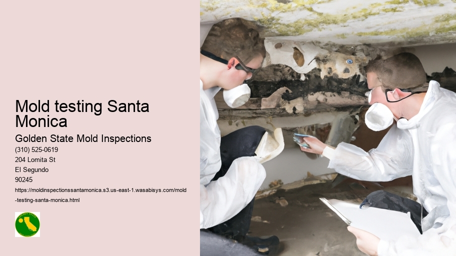 Mold testing Santa Monica
